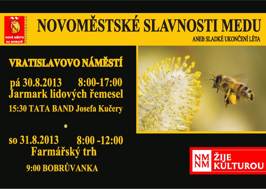 Slavnosti 2013