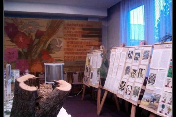 foto011