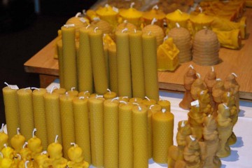 Vystava2011_16