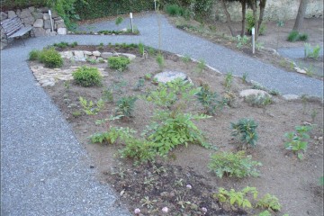 Arboretum01
