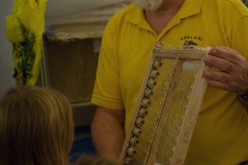 IMG_1617